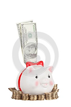 Dollars stick out of the pig moneybox