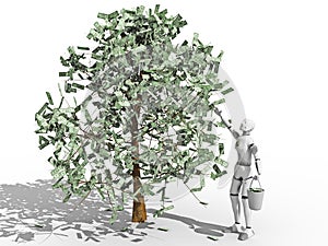 Dollars Tree