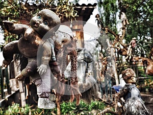 Dolls Hung From Strings at the Island of the Dolls in Mexico