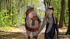 Dolly shot of charming slim woman walking with horse in sunny forest and leaving in slow motion. Portrait of smiling