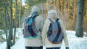Dolly shot of mature man and woman with backpacks walking in winter forest holding hands