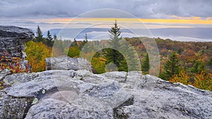 Dolly sods west virginia bear rocks