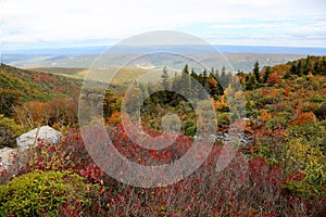 Dolly Sods West Virginia