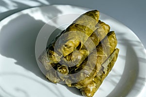 Dolma and natural yogurt