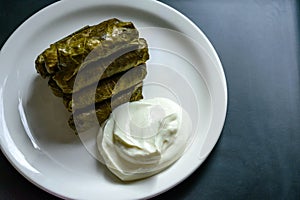 Dolma and natural yogurt