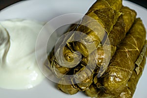 Dolma and natural yogurt