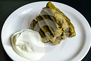 Dolma and natural yogurt