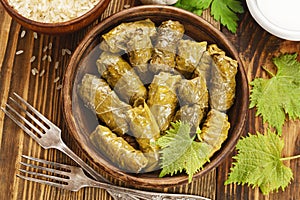 Dolma on the plate photo