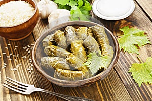 Dolma on the plate photo