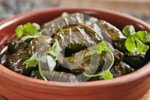 Dolma, Sarma, Dolmades, Dolmadakia or Tolma Close Up