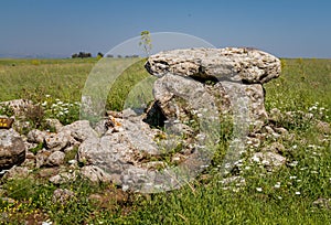 The dolmen, ancient burial place in Gamla Nature Reserve, Israel