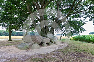 Dolmen D21, Steenakkerweg Bronneger, municipality of Borger-Odoorn in the Dutch province of Drenthe