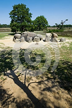 A dolmen or hunebed in Drenthe in the Netherlands