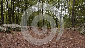 Dolmen Pierre Procureuse, surroundings around stone structure in Normandy, PAN