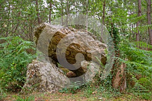 Dolmen in forest
