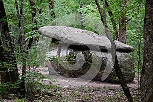 Dolmen in Shapsug. Forest in the city near the village of Shapsugskaya, sights are dolmens and ruins of ancient civilization