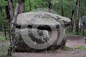 Dolmen in Shapsug. Forest in the city near the village of Shapsugskaya, sights are dolmens and ruins of ancient civilization