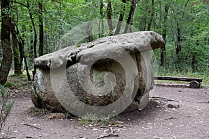 Dolmen in Shapsug. Forest in the city near the village of Shapsugskaya, sights are dolmens and ruins of ancient civilization