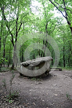 Dolmen in Shapsug. Forest in the city near the village of Shapsugskaya, sights are dolmens and ruins of ancient civilization