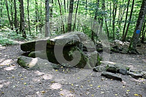 Dolmen in Shapsug. Forest in the city near the village of Shapsugskaya, sights are dolmens and ruins of ancient civilization