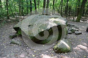 Dolmen in Shapsug. Forest in the city near the village of Shapsugskaya, sights are dolmens and ruins of ancient civilization