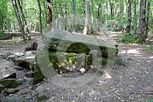 Dolmen in Shapsug. Forest in the city near the village of Shapsugskaya, sights are dolmens and ruins of ancient civilization