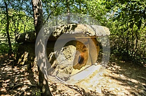 Dolmen Tenderness. Farm `Dolmen `. Krasnodar region