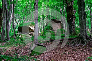 Dolmen in Tuapse. A megalytic construction in the woods of Kuban