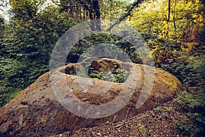 dolmens in the forest. cloudy dark mystical jungle with ancient ruins of a part of the rock