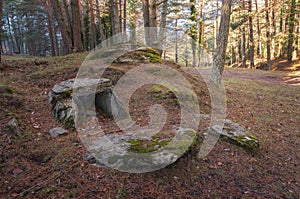 Dolmen in Montgrony, Ripolles, Catalonia