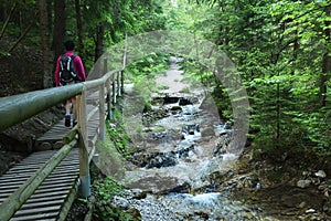 Dolne diery, Hlboky potok, Mala Fatra, Vratna, Zilina Region, Slovakia