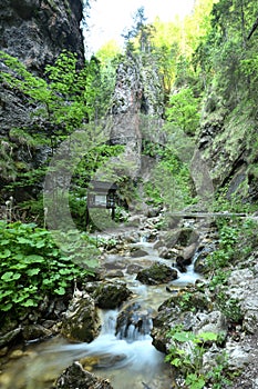 Dolne diery, Hlboky potok, Mala Fatra, Vratna, Zilina Region, Slovakia