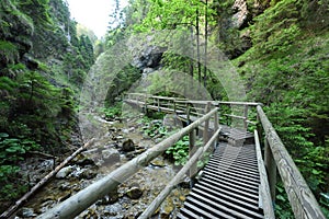 Dolne diery, Hlboky potok, Mala Fatra, Vratna, Zilina Region, Slovakia