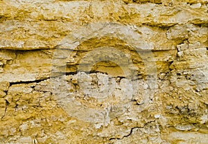 Dolomite layer on a section of soil in quarry