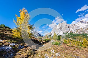Dolomite Mountains in Autumn