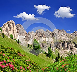 Dolomite peaks, Rosengarten