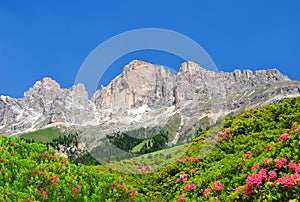 Dolomite peaks Rosengarten