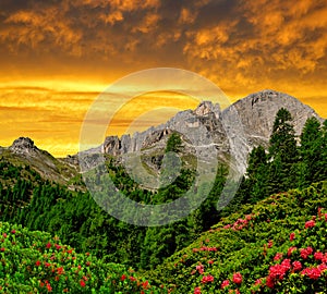 Dolomite peaks, Rosengarten