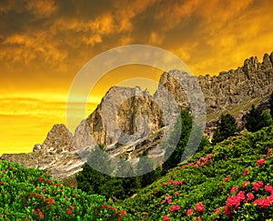 Dolomite peaks, Rosengarten