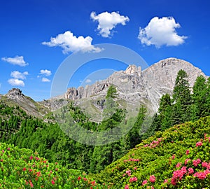 Dolomite peaks, Rosengarten