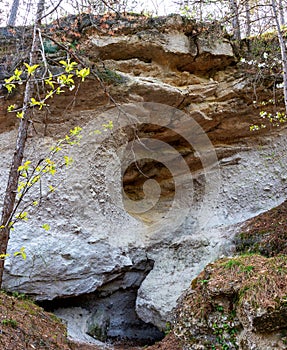 Dolomite rock Gainfarner Brekzie