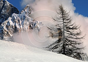 Dolomites Alps, South Tyrol, Italy. Cimon della Pala or Cimone with clouds in the Pale di San Martino Group