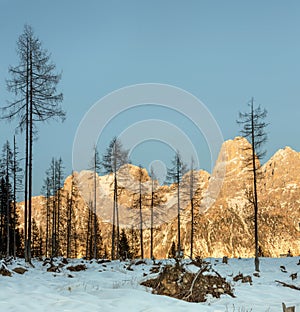 Dolomites, Italy - Panorama of Pale di San Martino in late afternoon light in winter