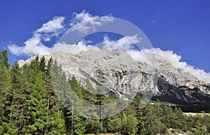 Dolomites mountain cliffs and forest