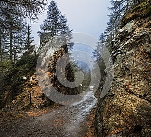 The Dolomites. The winding path between mountain rocks