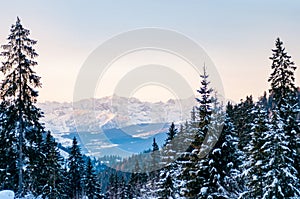 Dolomiti Mountains at Sunset with Pink Colored Sky at Sunset in the North of Italy