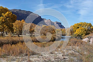 Dolores River near Gateway in Autumn