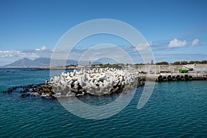 Dolosse at the entrance to the Robben Island harbour