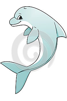 Dolphin
