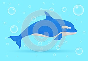 Dolphin on blue background with bubbles. Ocean fish. Underwater marine wild life. Vector illustration